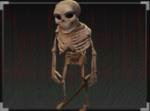 150px-SkeletonRogue