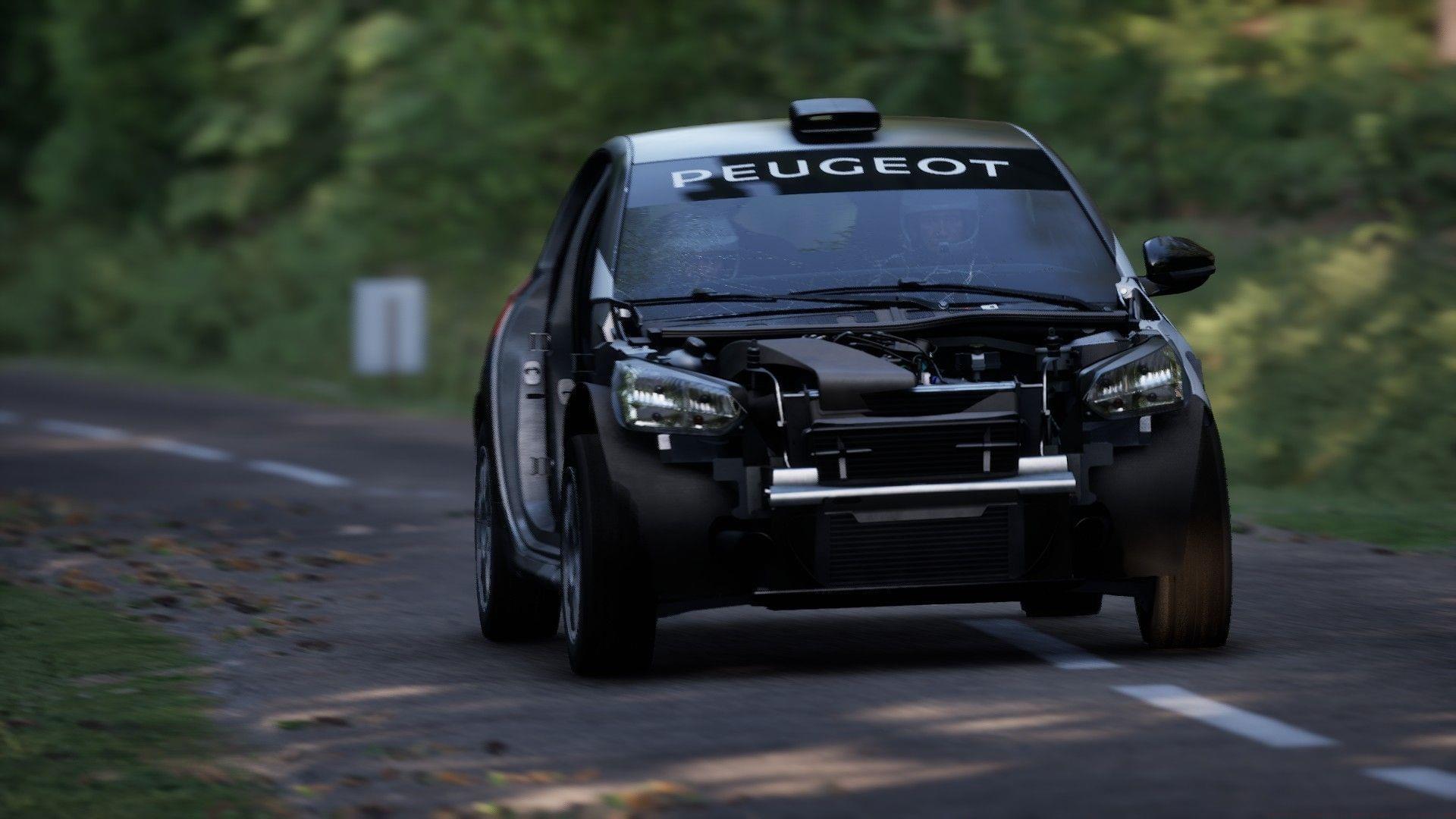 Assetto Corsa Rally best controller settings