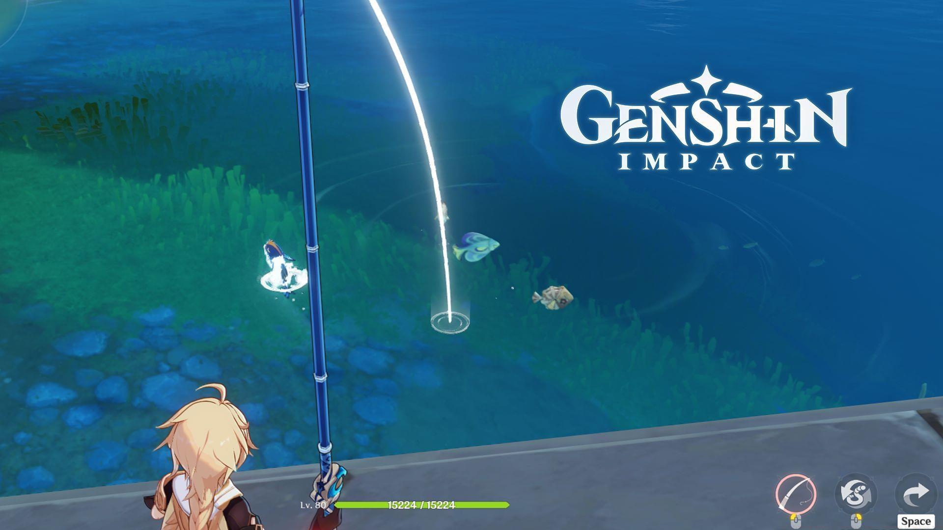 all fishing bait in genshin impact