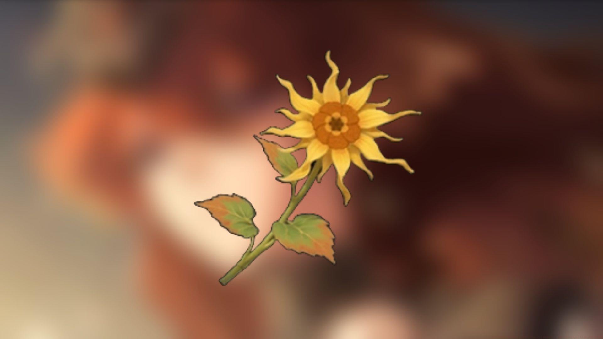 Luminous Calendula locations and farming guide (Image via Kuro Games)