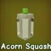Acorn Squash