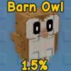 Barn Owl