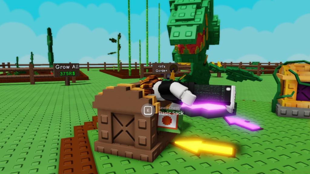 Basic Seed Pack Collision