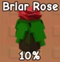 Briar Rose in Grow a Garden