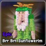 Brr Brr Sunflowerim