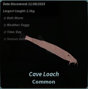 Cave Loach