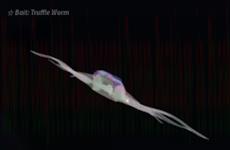 Colossal Ethereal Dragon