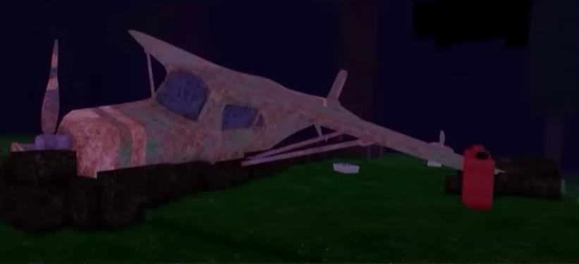 Crashed Plane in 99 Nights in the Forest