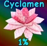 Cyclamen Grow a Garden