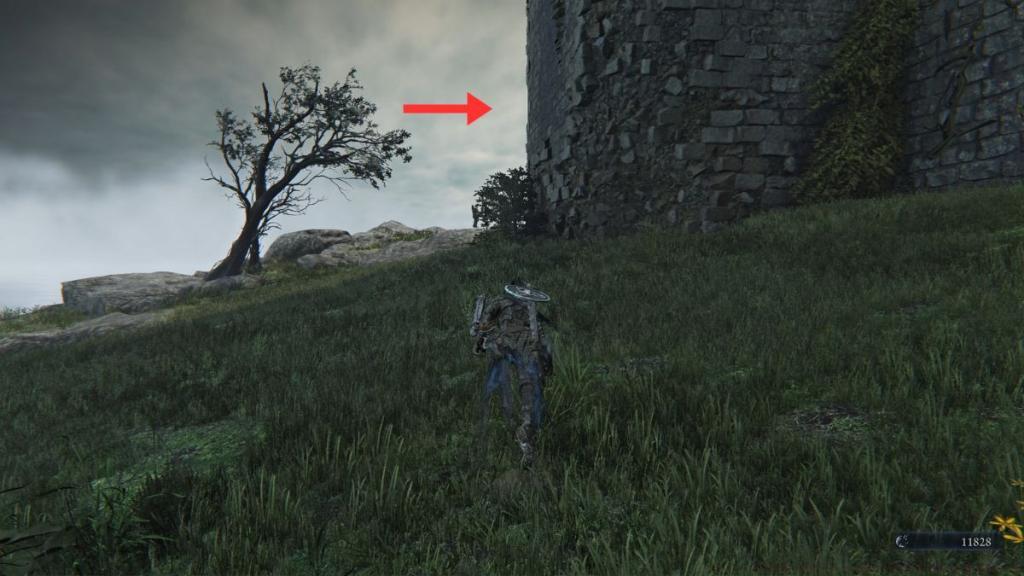 Directions to Collector Signboard in Elden Ring Nightreign