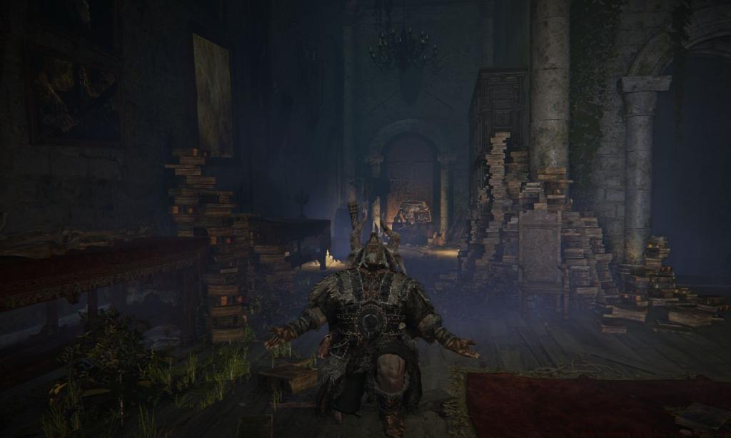 Raider emoting in Elden Ring Nightreign