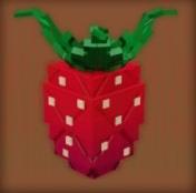 Elder Strawberry Plant Grow a Garden