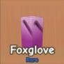 Foxglove
