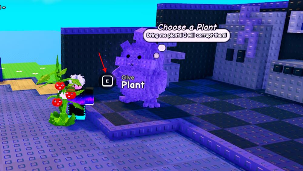 Give plant to Corrupt Chef