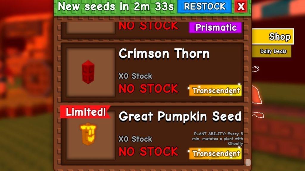 Great Pumpkin Seed in Seed Shop Grow a Garden