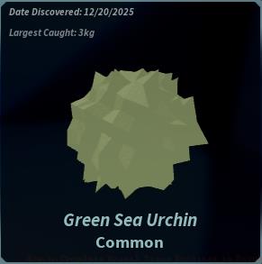 Green Sea Urchin