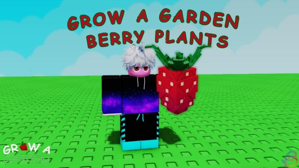 Grow a Garden Berry Plants