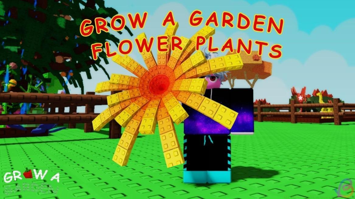 Grow a Garden Flower Plants