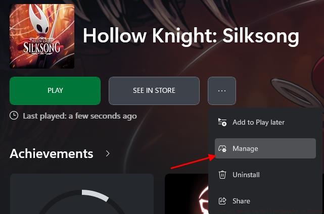 Hollow Knight Silksong on Xbox PC app