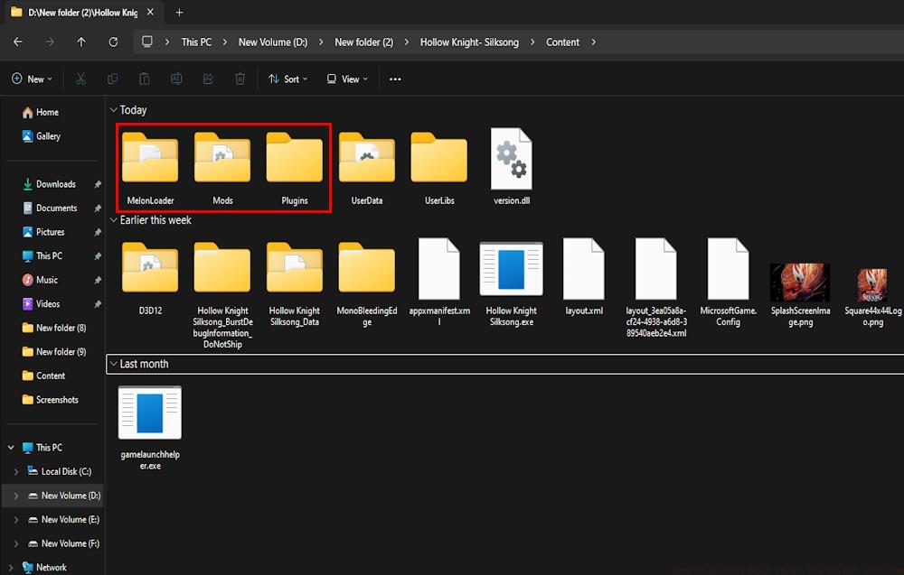 Hollow Knight Silksong Mod install folder