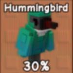 Humming Bird