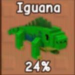 Iguana