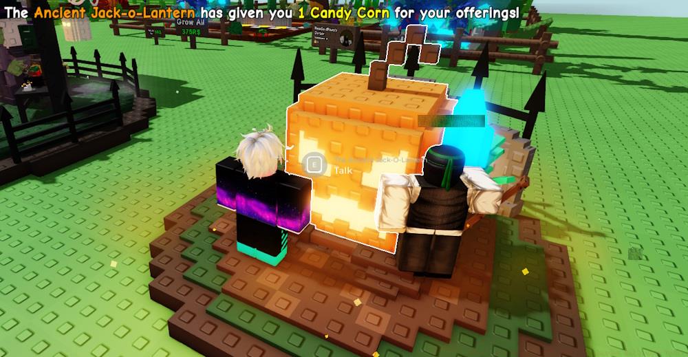 Jack-O-Lantern Grow a Garden