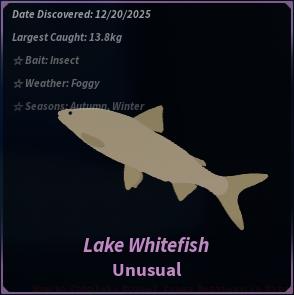 Lake Whitefish