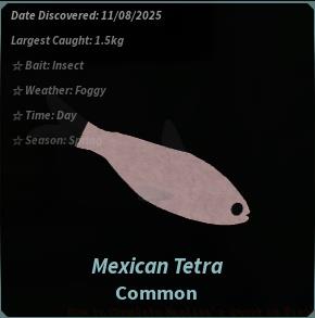 Mexican Tetra