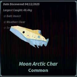 Moon Arctic Char