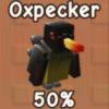 Oxpecker