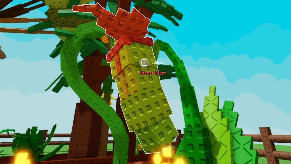 Pitcher Plant collect crop