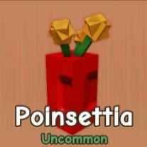 Poinsettia