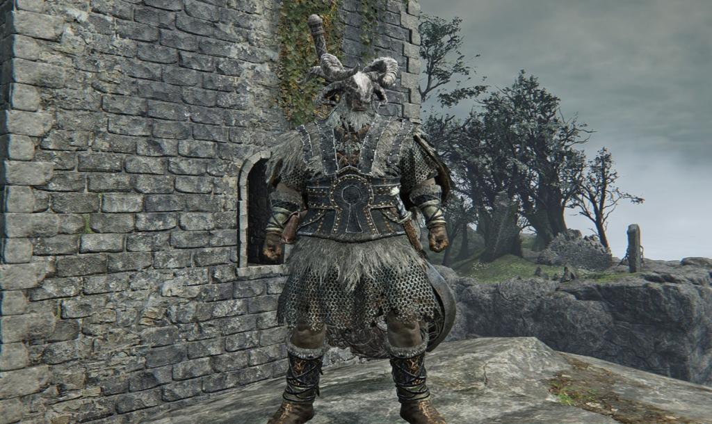 Raider Elden Ring Nightreign