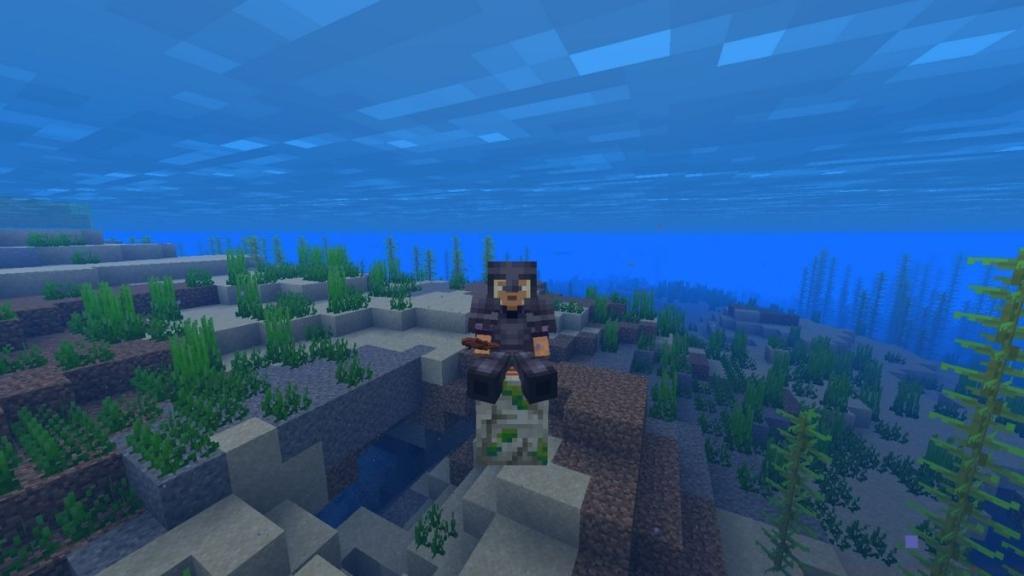 How to Tame Zombie Nautilus in Minecraft