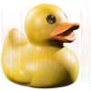 Rubber Duck