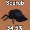 Scarab 