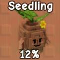 Seedling Grow a Garden