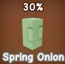 Spring Onion