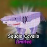 Squalo Cavallo