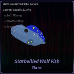 Starbellied Wolf Fish