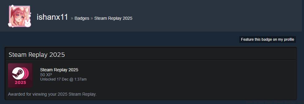Steam Replay badge 2025