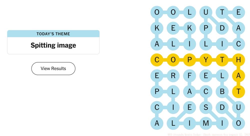 NYT Strands Hints Today: Check Answers for August 12, 2025