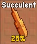 Succulent seed Grow a Garden