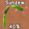 Sundew