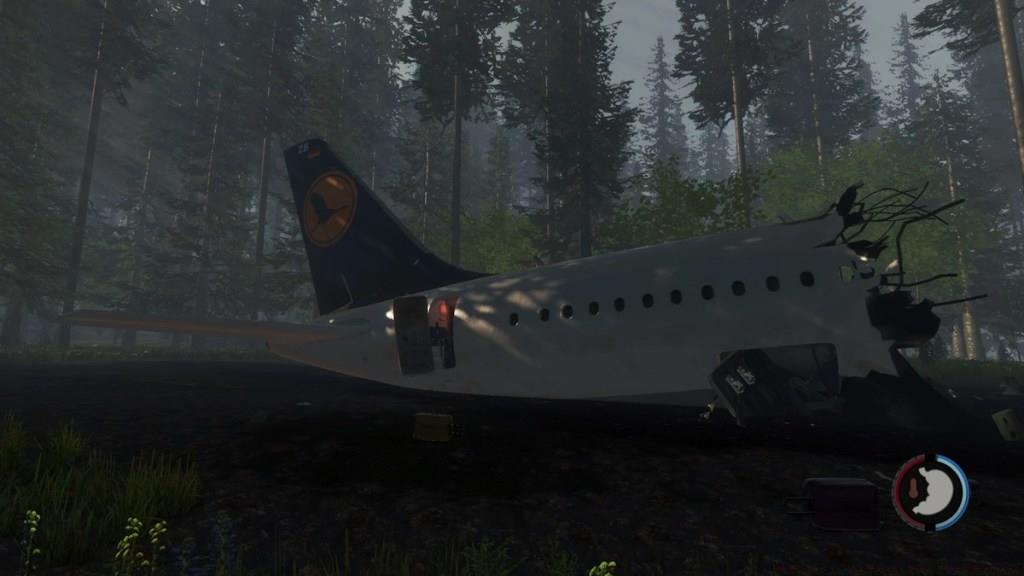 The Forest plane crash