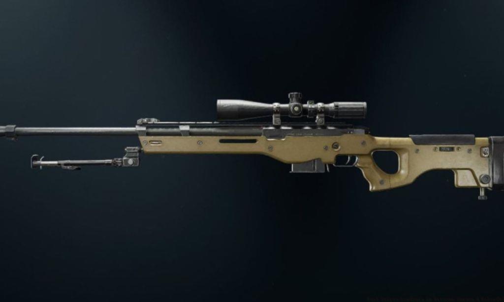 LW3A1 Frostline in Warzone