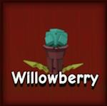 Willowberry