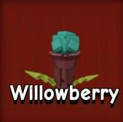 Willowberry 