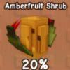 amberfruit shrub